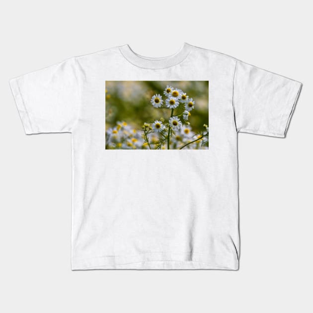 English Wild Flowers - Chamomile Kids T-Shirt by Violaman